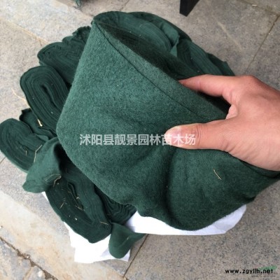 刺柏2018年价格.刺柏150公分高批发 高速公路用刺松