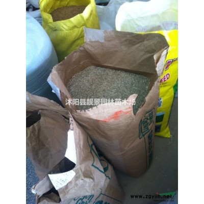 三色堇种植产地价格，三色堇供应商，三色堇哪里有卖？