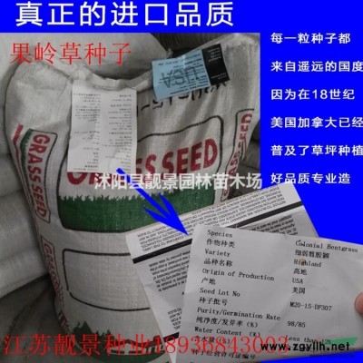 银丝茉莉价格/银丝茉莉产地/银丝茉莉图片/银丝茉莉特征介绍