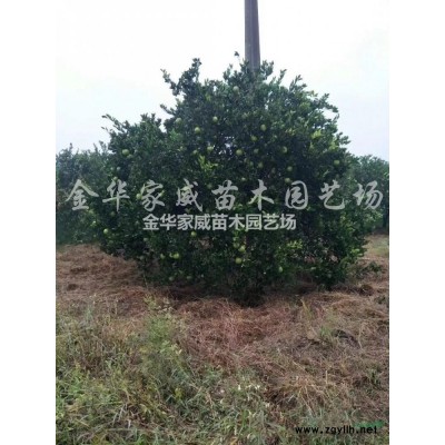 红色无机覆盖物