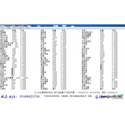 水生植物产地价格 草花 基地千屈菜、菖蒲、黄菖蒲、水葱再力花