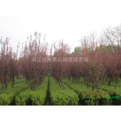 大量出售人造文化石，品种多