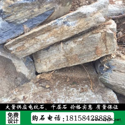 浙江园林景观石基地产地直销天然黄石