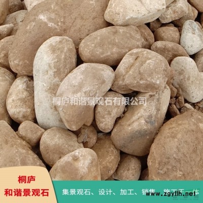 桐庐天然景观石龟纹石 假山驳岸石