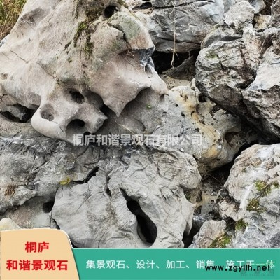 太湖石假山精品窟窿石风景石景观石