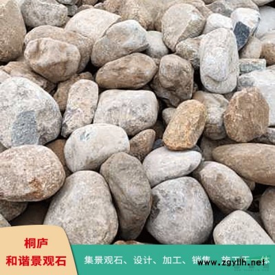 天然景观石 奇石 原石 龟纹石 千层石 点石