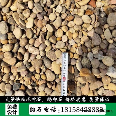 杭州天然景观石园林风景石刻字石九龙玉点石 C101