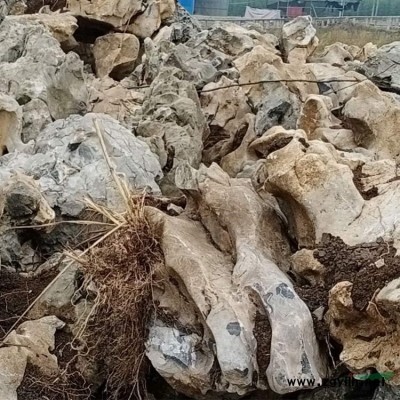 天然景观石园林风景石 龟纹石 奇石 原石产地直销