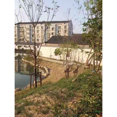 园林刻字石杭州景观石产地直销