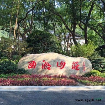 天然雨花石鹅卵石景观石自然石原石奇石