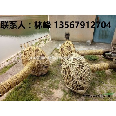 红枫为什么会变色