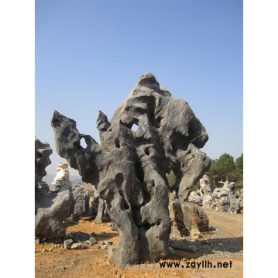 供应良好园林园林石.太湖石.石雕