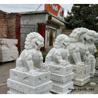 石雕狮子 镇宅石狮 汉白玉石狮子 小头**狮子 动物雕刻
