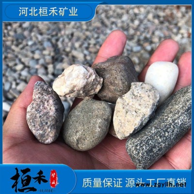 桓禾矿业厂家销售鹅卵石争夺战鹅卵石雕刻鹅卵石比重  诚信经营