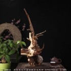 宜居品阁YW844原生态太行崖柏根抱石自然件 根雕木雕 摆件-坚韧