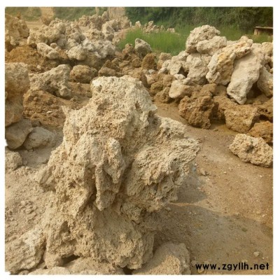 双万特景观吸水石 假山石 庭院假山上水石