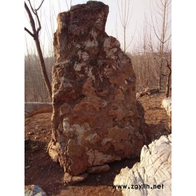 辰洋 天然褐黄色假山石 大块景观石 微景观用石