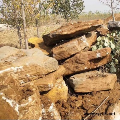 天然**景观石 假山石 千层石假山 庭院假山 龟纹石造景 河道驳岸石千层石产地批发 承接园林假山设计制作