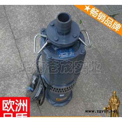 低压喷泉水泵 qy160-23-15 水景喷泉水泵 周