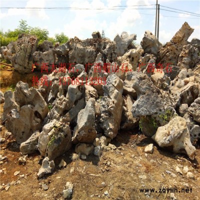 广西太湖石 广西假山石 广西太湖石价格 广西假山石批发销售
