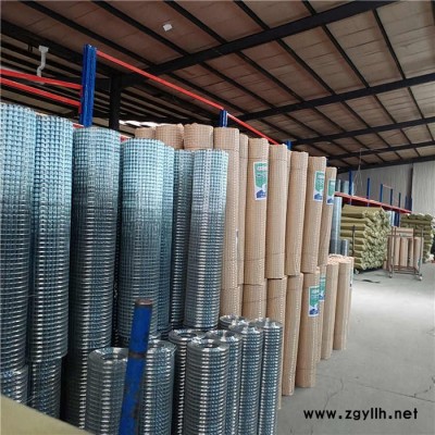 装饰网 假山网 改拔丝电焊网 引润 欢迎选购