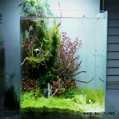 潇湘 水族箱供应 水族箱鱼缸厂家 室外景观假山鱼池 假山景观