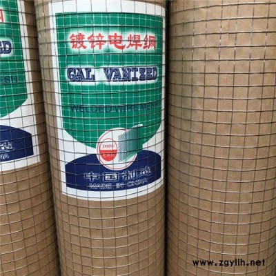 建筑保温网 抹墙网 养殖电焊网 假山防裂网 实体工厂 欢迎采购