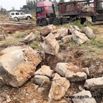 园林假山石 小龟纹石  庭院园林景观假山石