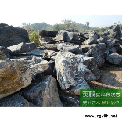 厂家特价直销太湖石假山石料 **黑色太湖石头 庭院水系假山水池