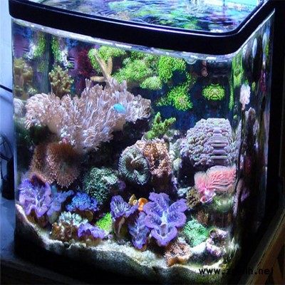 潇湘 水景鱼缸 大型定制鱼缸 家庭制作庭院假山鱼池 信誉厂家