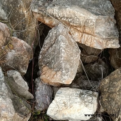 **龟纹石 假山石 驳岸石庭院假山灵璧石 园林风景石 庭院假山石 承接假山设计制作 假山水景