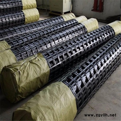 拓林 宁德钢塑土工格栅 40钢塑土工格栅价格 公园假山固定钢塑格栅