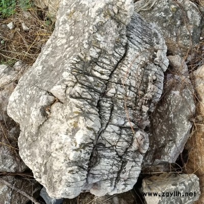 龟纹石产地直销 龟纹石假山设计制作 庭院假山 上海龟纹石 千层石批发 龟纹石假山