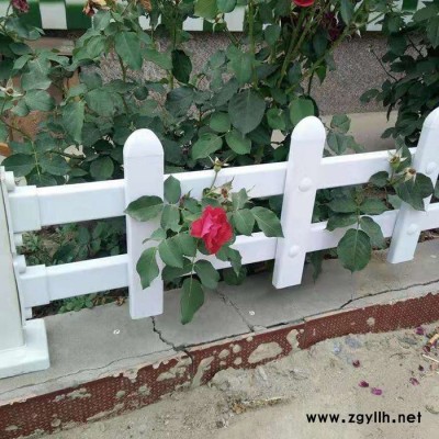 润众 草坪护栏 花坛草坪护栏 绿化草坪护栏 pvc草坪护栏