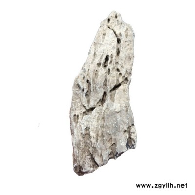 小青龙石盆景假山石 酸洗青龙石 庭院假山风景石 假山喷泉 批发园林造景石