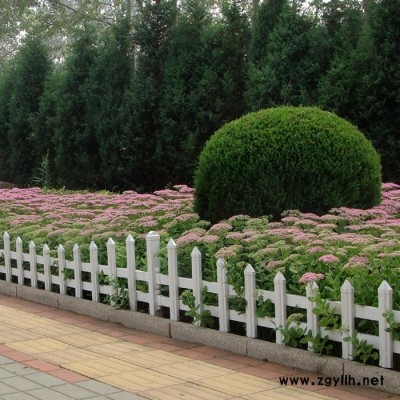 PVC草坪护栏 园艺花坛栅栏围栏 草坪护栏价格