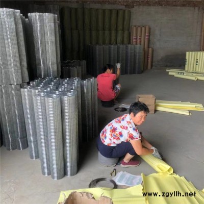 电焊网厂家 镀锌电焊网 假山防裂网 抹墙电焊网 大量现货快速发货