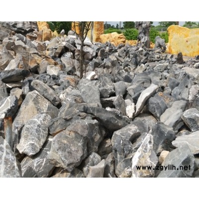 太湖石 产地直销 英德之乡青龙石 观赏石假山工程石 大石头 草坪石驳岸石 池边摆景