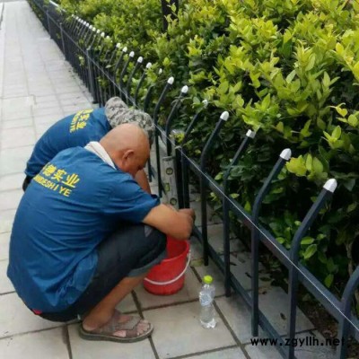 绿化带草坪护栏  公园花坛围栏 小区浸塑折弯护栏