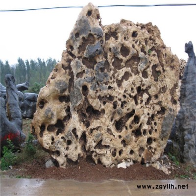 卖吸水石山水石 假山石建造  适宜于树石驳岸和散点石配置