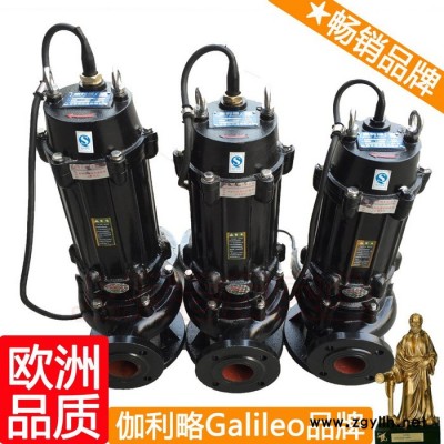 上海假山潜水泵 上海高扬程潜水排污泵 星贰