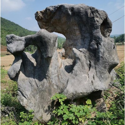 天然景观石 假山石 园林景观石 太湖石 河南太湖石 园林石 黄色太湖石