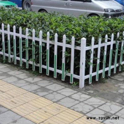 彤洋 【厂家供应】 PVC护栏 花园栅栏 花坛围栏 **PVC隔离网