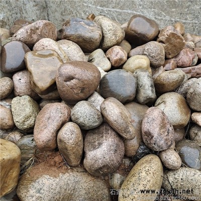 大块鹅卵石 假山鹅卵石 大型自然石供应