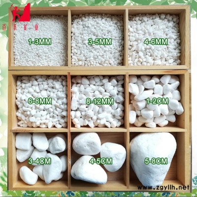 白石子厂家 绿地,假山,园景,装饰用白石子鱼缸装饰铺地鹅卵石