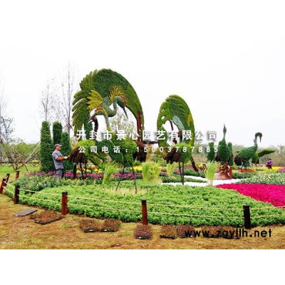 开封植物绿雕 立体花坛 设计施工公司