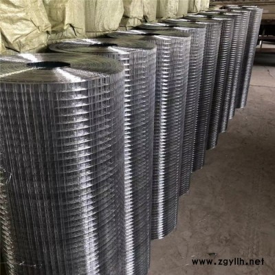 热镀锌电焊网 假山防裂网 小丝电焊网 工地抹灰网 实地厂家 普发丝网厂