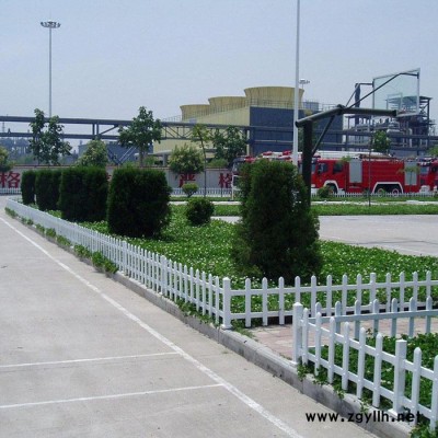 pvc塑钢护栏 栅栏 花园围栏 绿化花坛草坪护栏