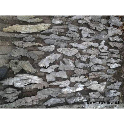 供应国诚石业36888英石-英德石-假山-盆景—附树石