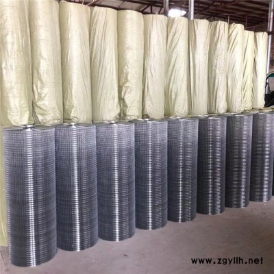 热镀锌电焊网 防裂电焊网 假山电焊网 批墙挂网 普发厂家现货 欢迎选购